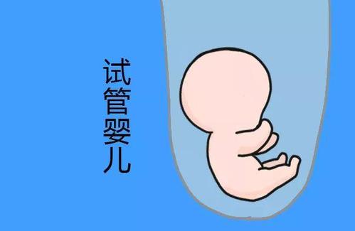实验室 Fig.01